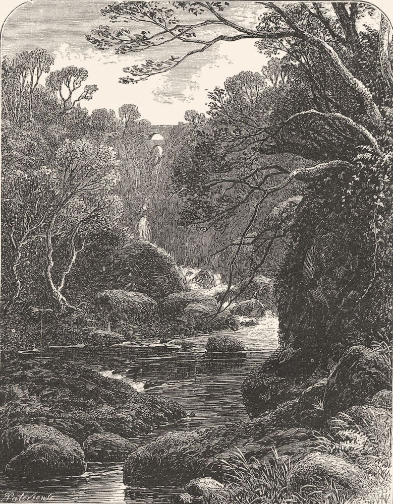 SCOTLAND. Banks of the Devon, near Rumbling Bridge c1886 old antique print